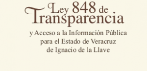 Ley848